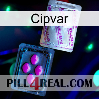 Cipvar 37
